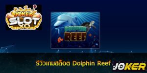 รีวิว Joker Dolphin Reef
